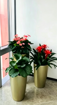 北仑绿植租用费用-镇海花卉租赁合同模板-杭州湾公司绿植出租-慈溪绿化养护行业发展