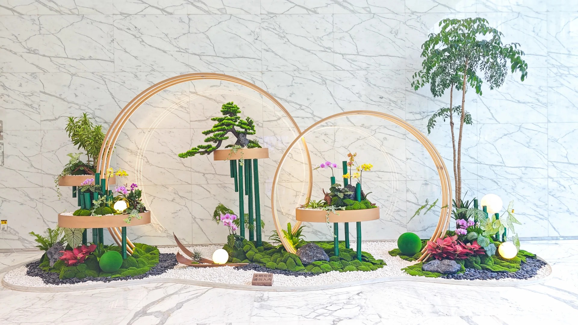 专业植物租赁,点亮宁波前湾的生态之光!