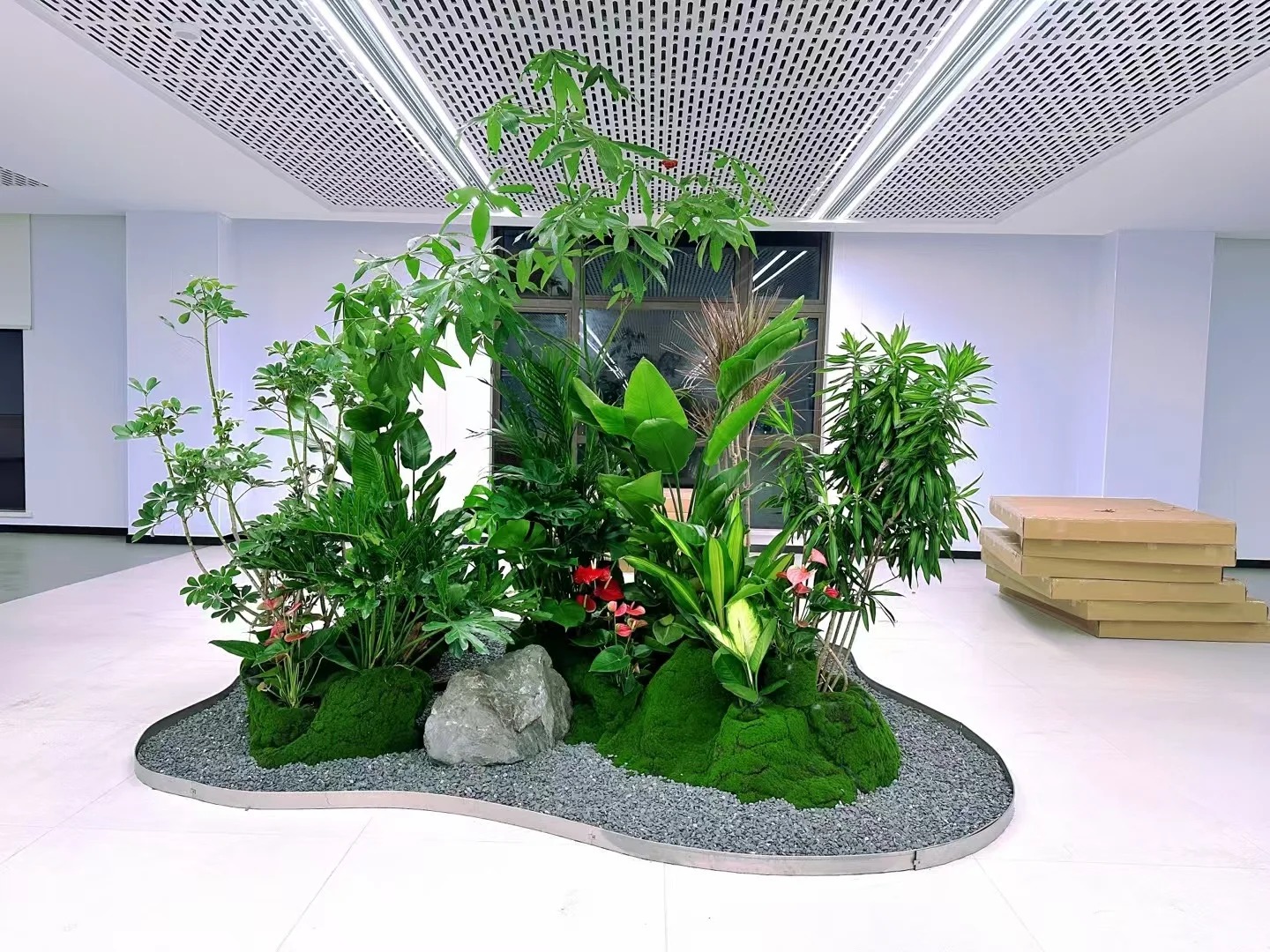 专业绿植出租,为宁波奉化增添一抹绿意