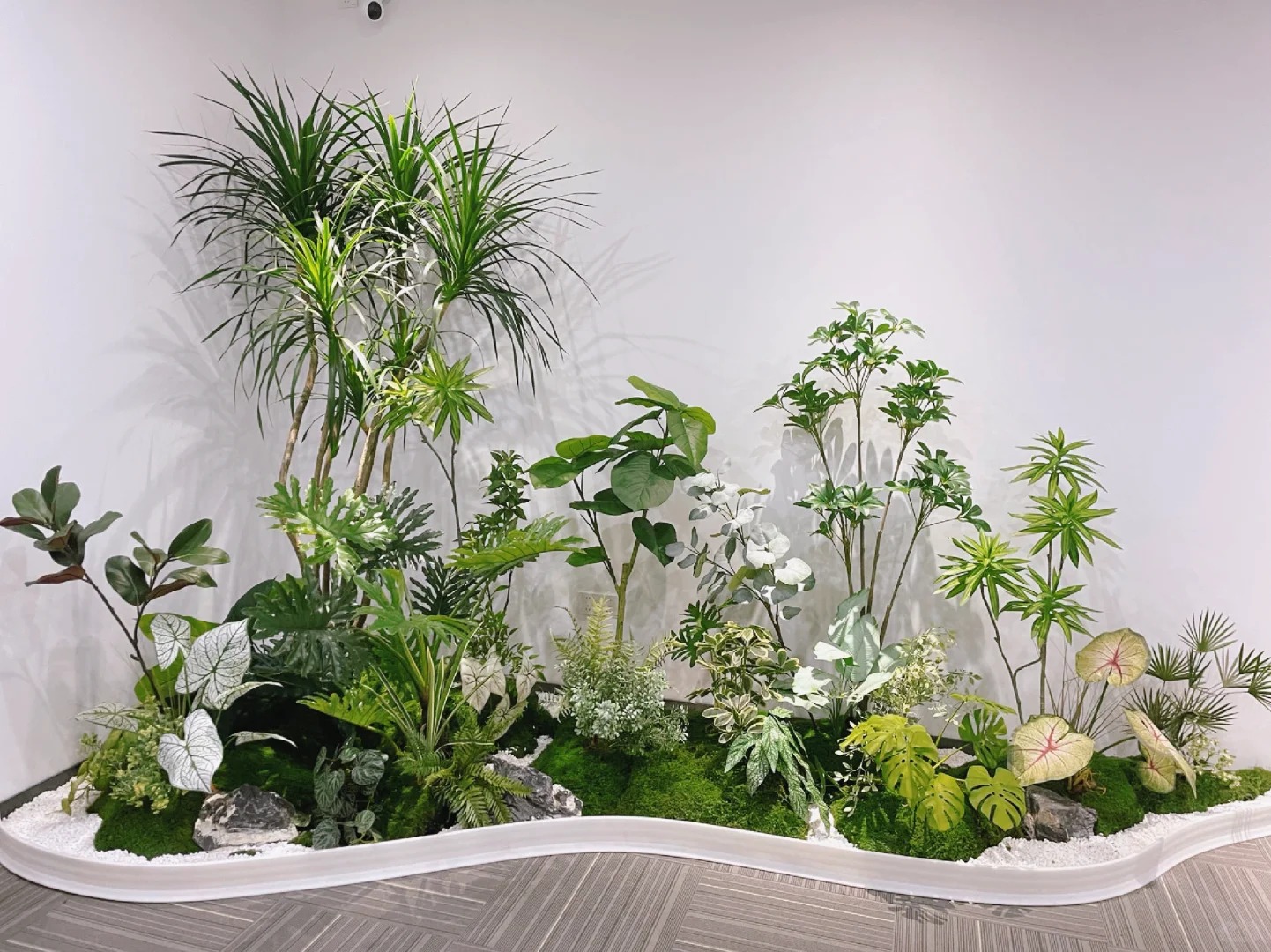 专业绿植出租,为宁波奉化增添一抹绿意